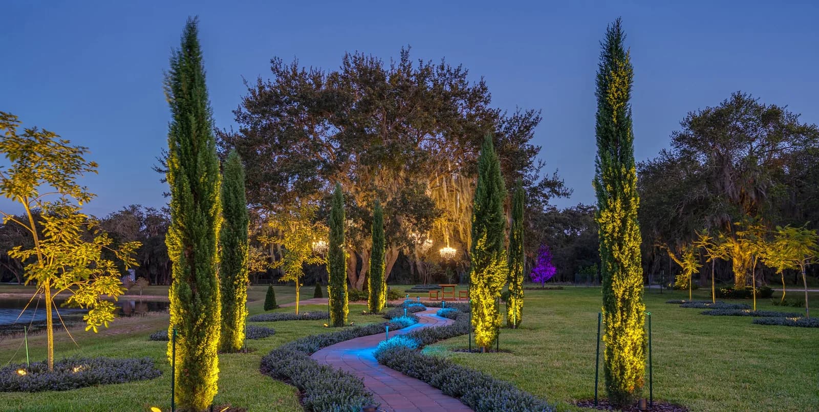 Garden path with uplit cypress trees
