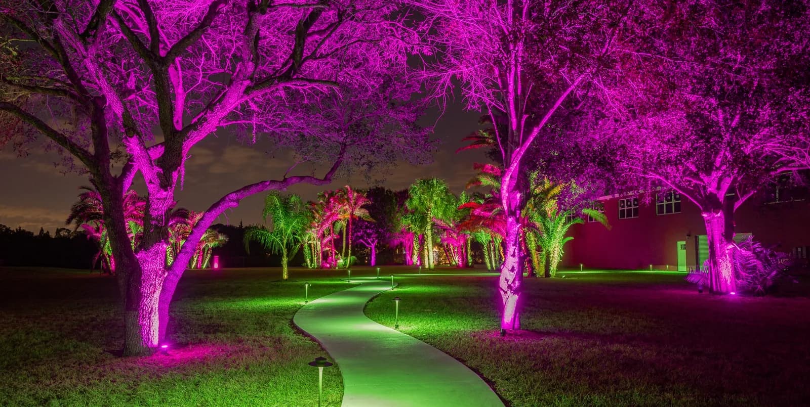 Tree uplights in color along a lit garden path